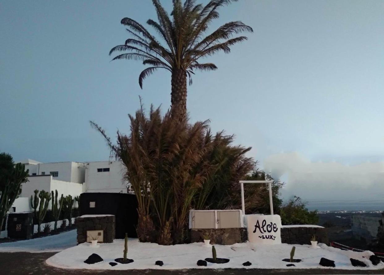 Aloelux Villa ! - Private Villa With Jacuzzi, Cinema ,Massage ,Wonderful View, Art Desing Villa Conil Εξωτερικό φωτογραφία